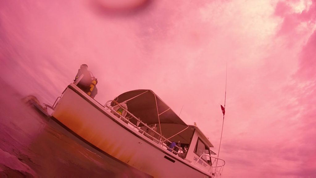 GOPR0132-21