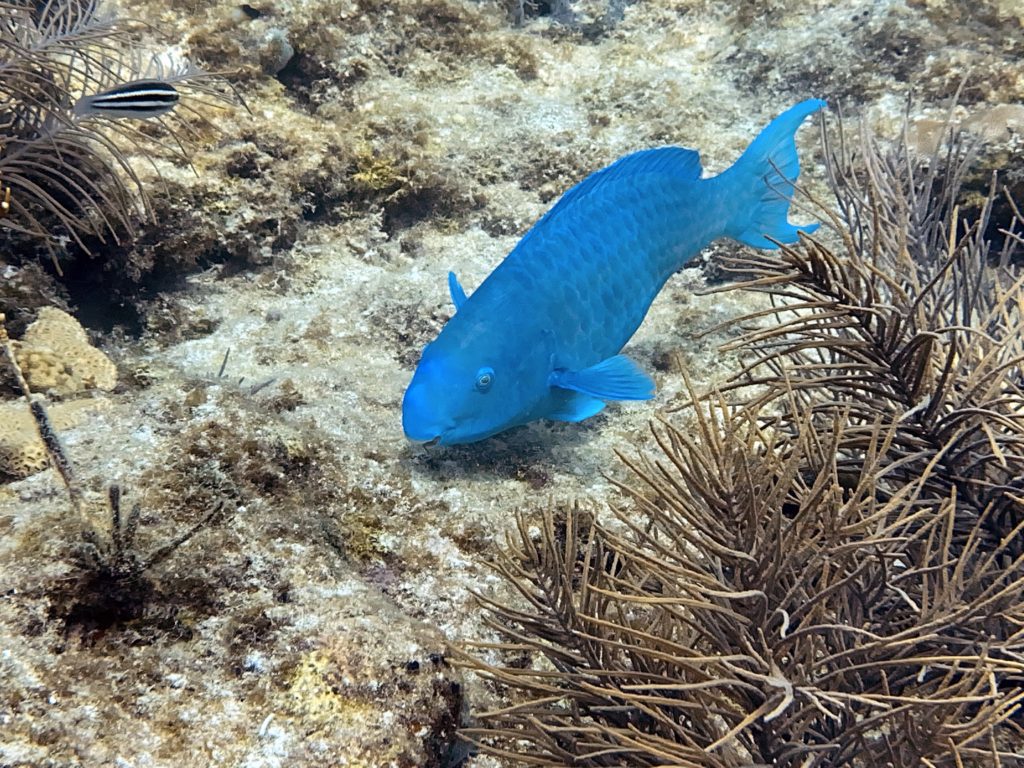 IMG_1767