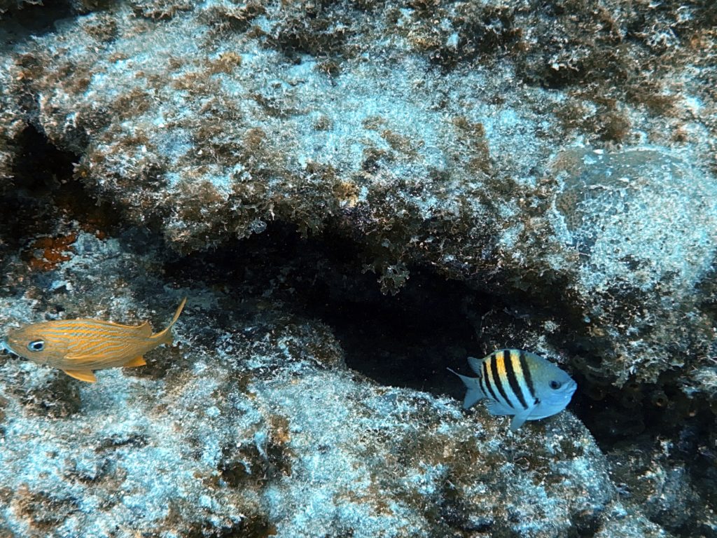 IMG_1769