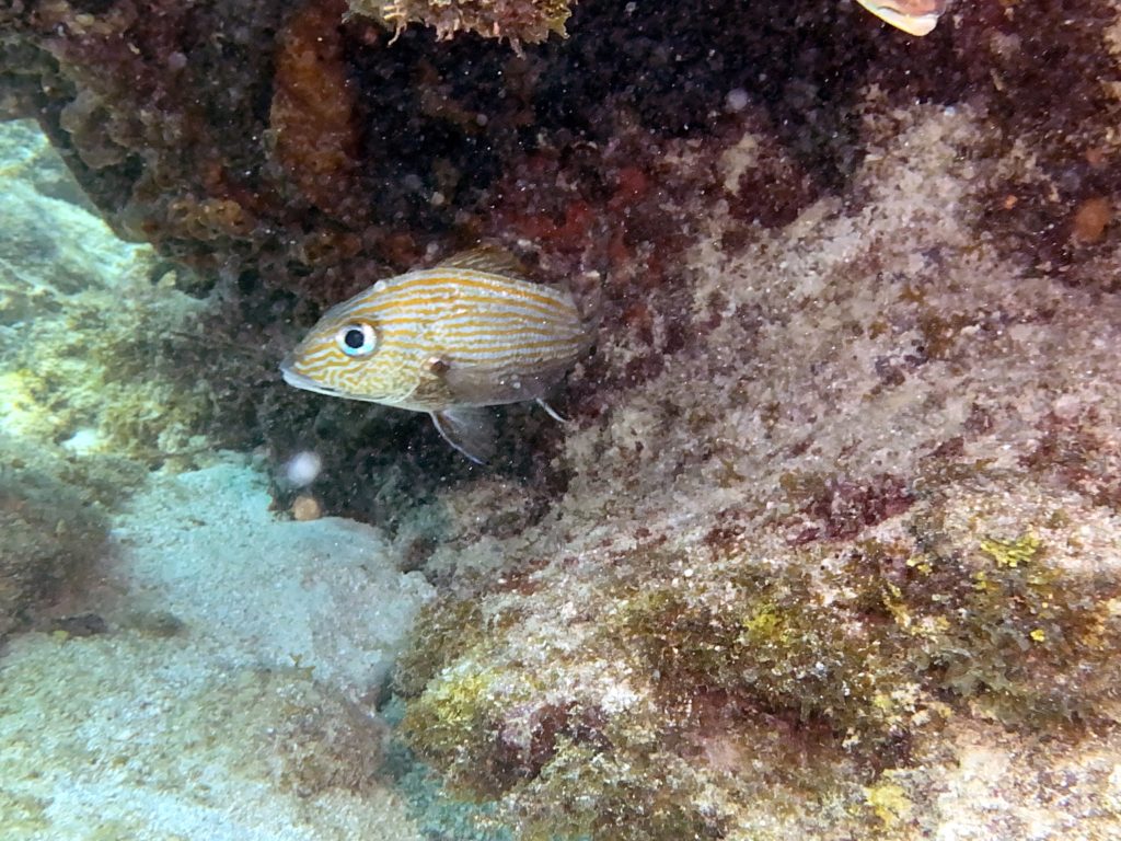 IMG_1775