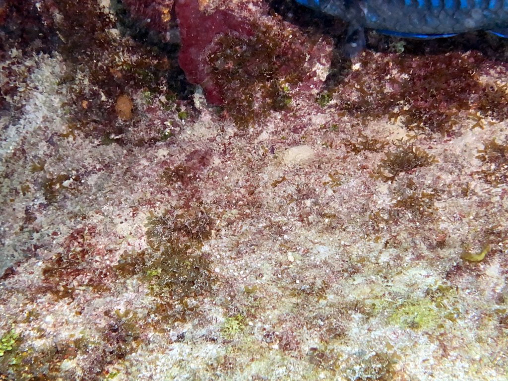 IMG_1779