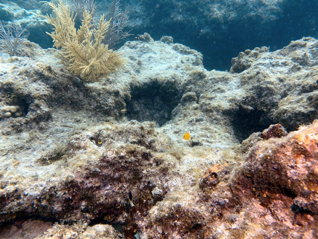 IMG_1784