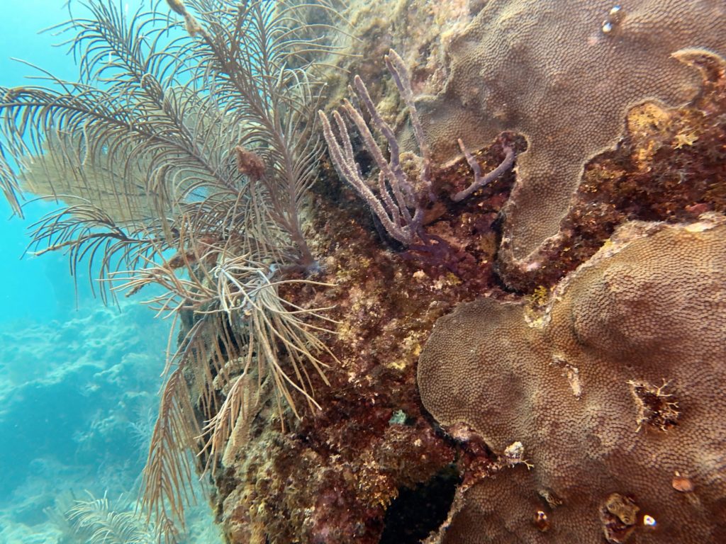IMG_1787