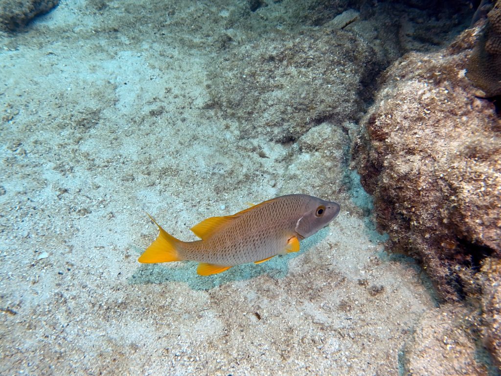 IMG_1790