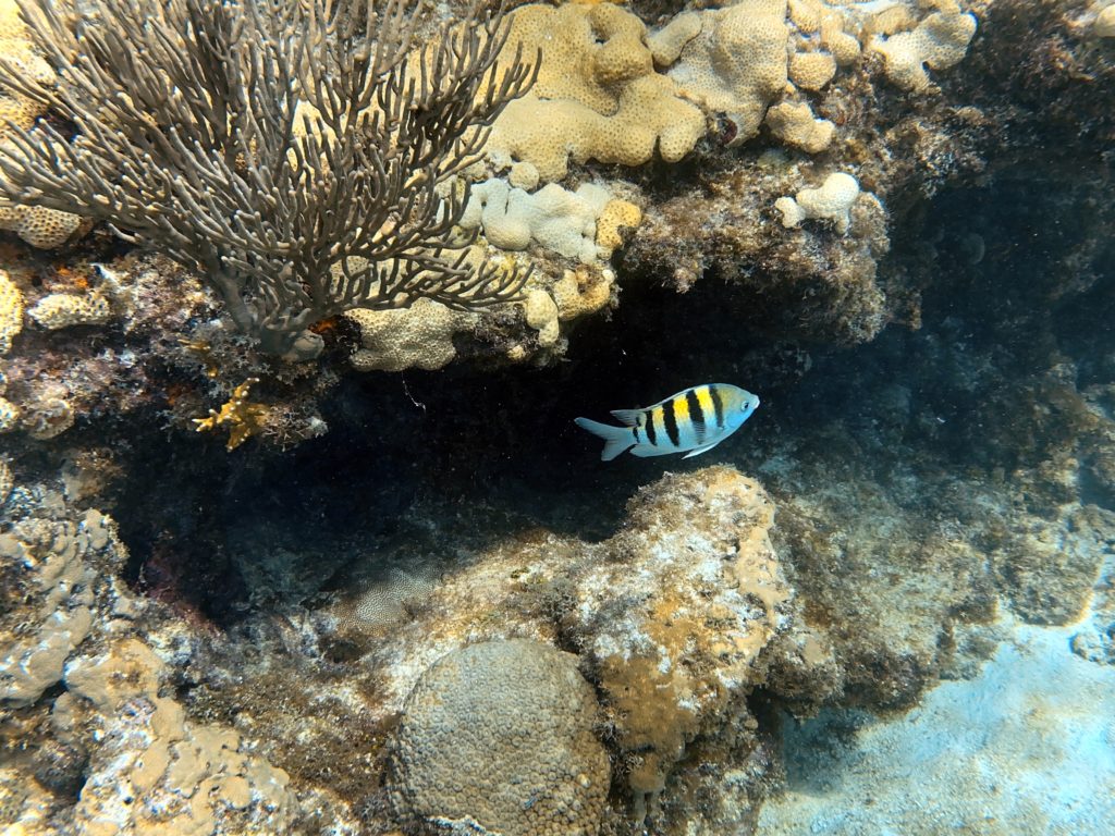 IMG_1799