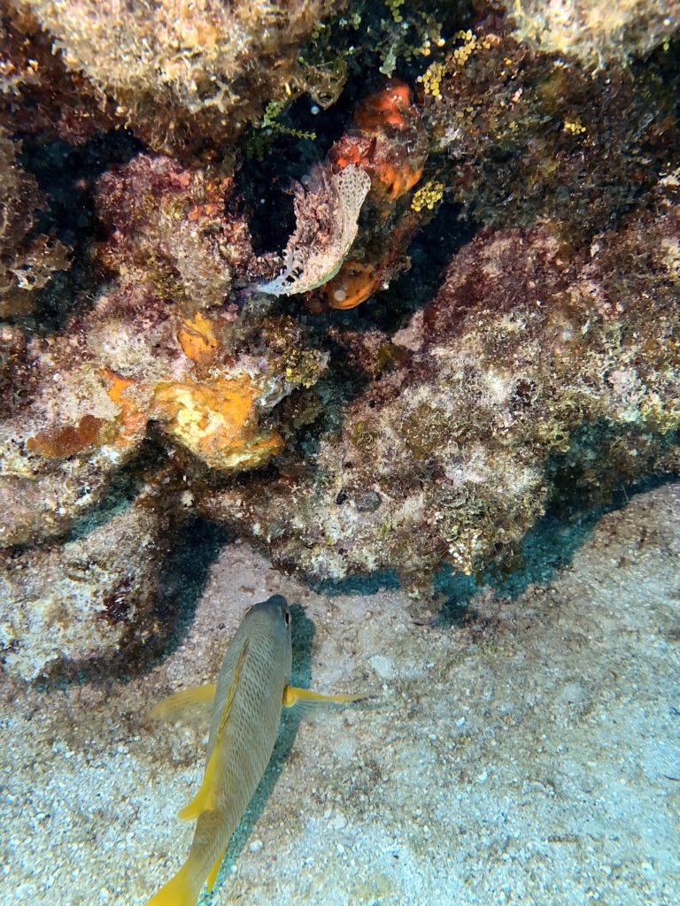 IMG_1803