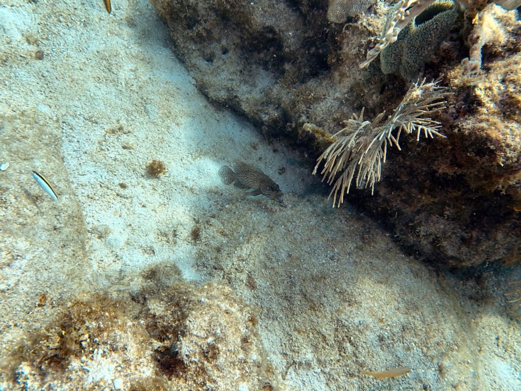 IMG_1807