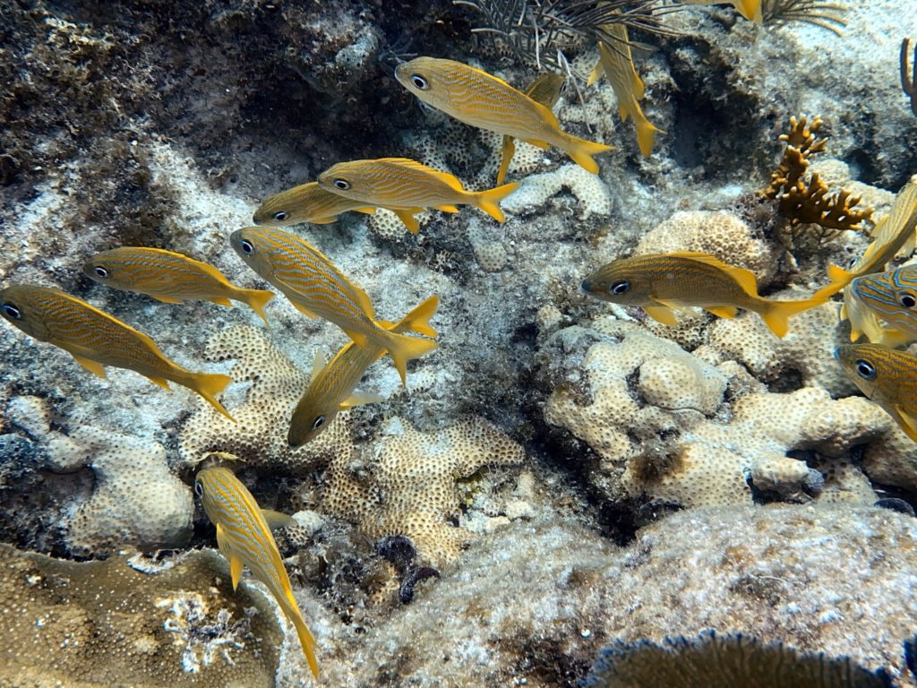 IMG_1812