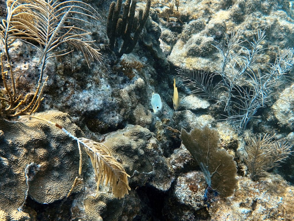 IMG_1820