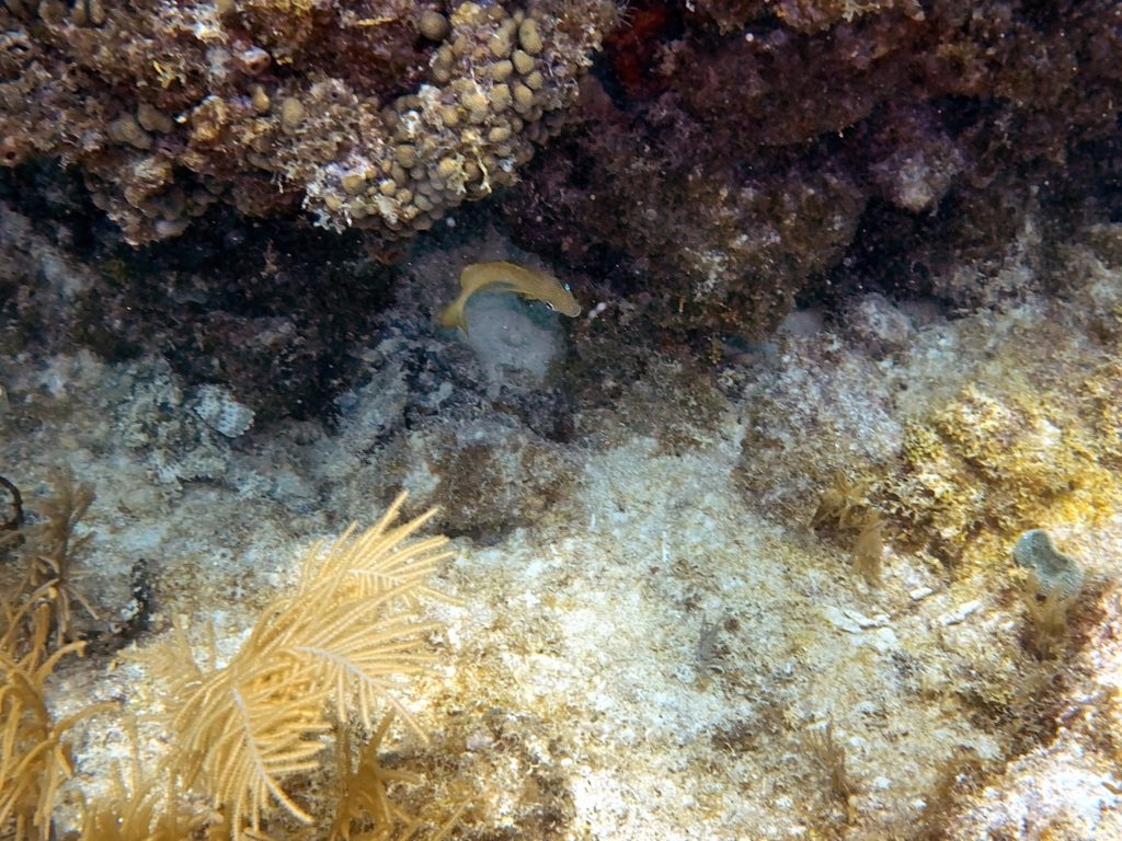 IMG_1822