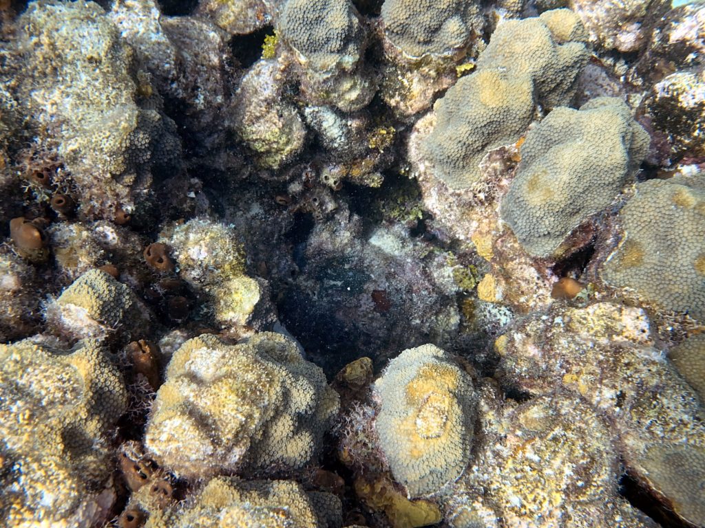 IMG_1838