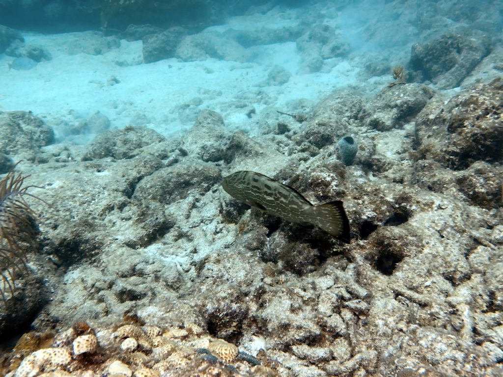 IMG_1853
