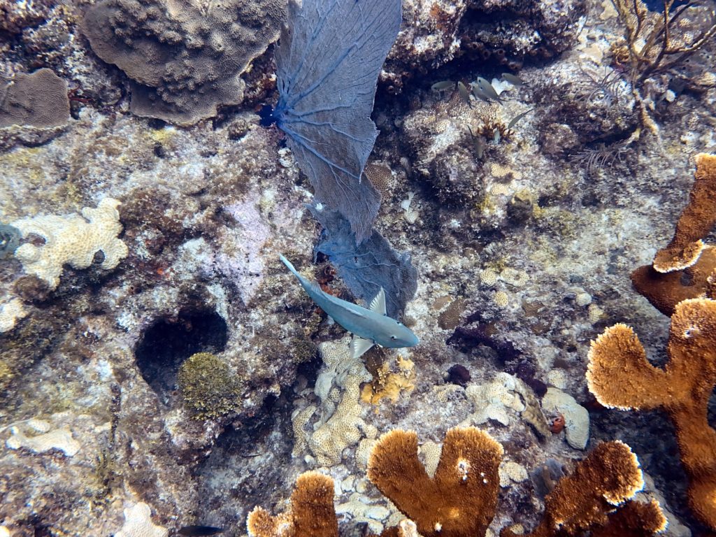 IMG_1855