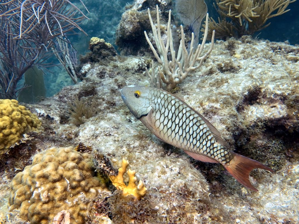 IMG_1861