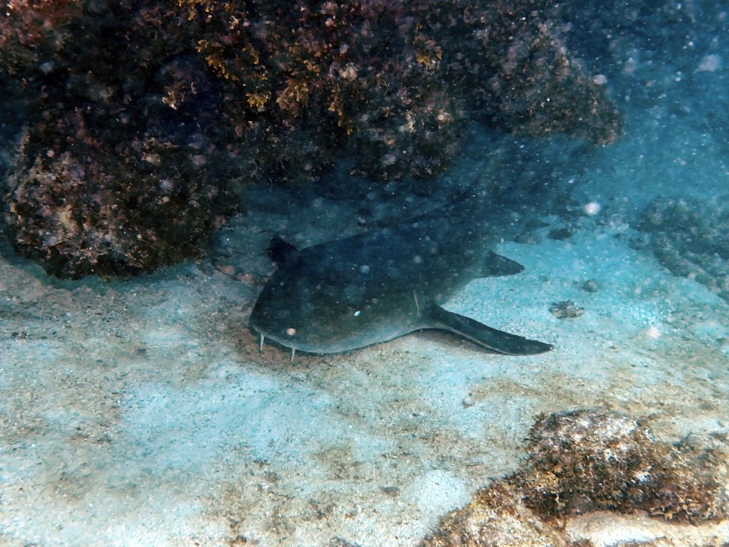 IMG_1877